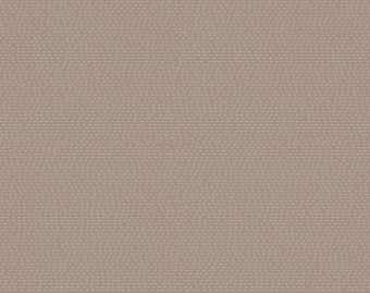 [200111122_11] Taralay Impression Compact - 0736 Rice Champa